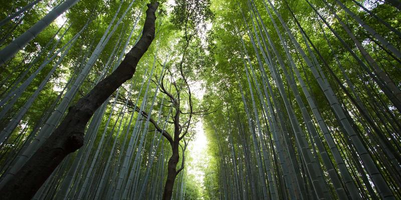 如何避免节日营销实施中的返工